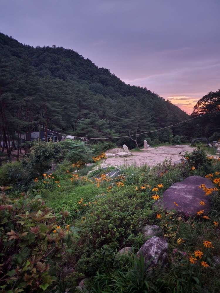 솔밭펜션