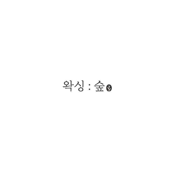 왁싱숲