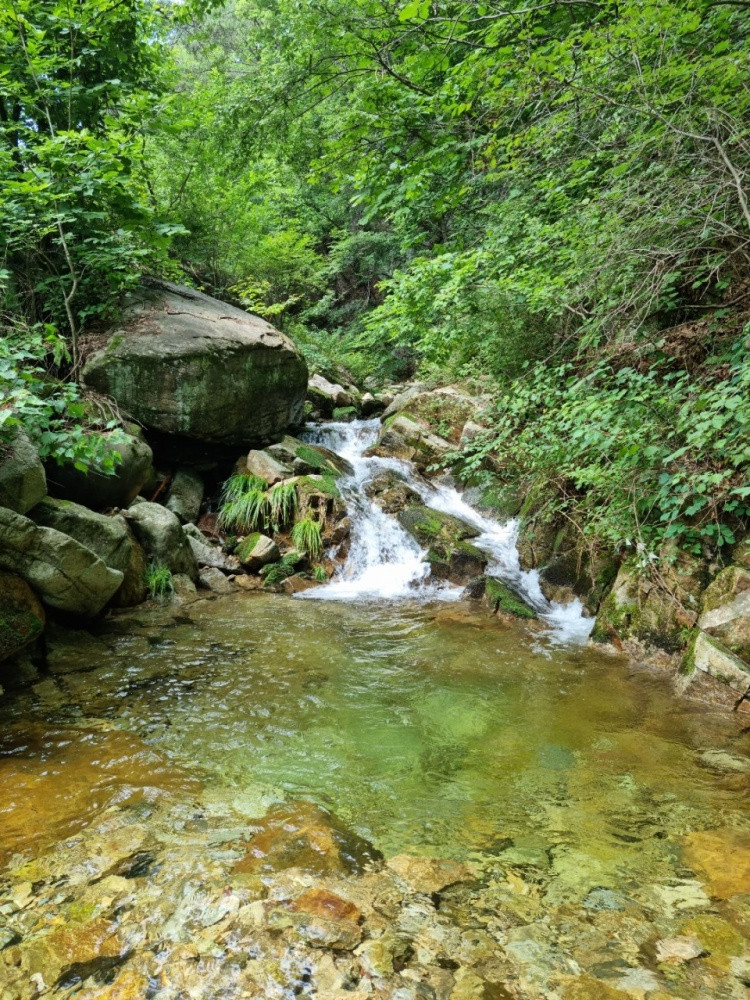 숲속산장펜션