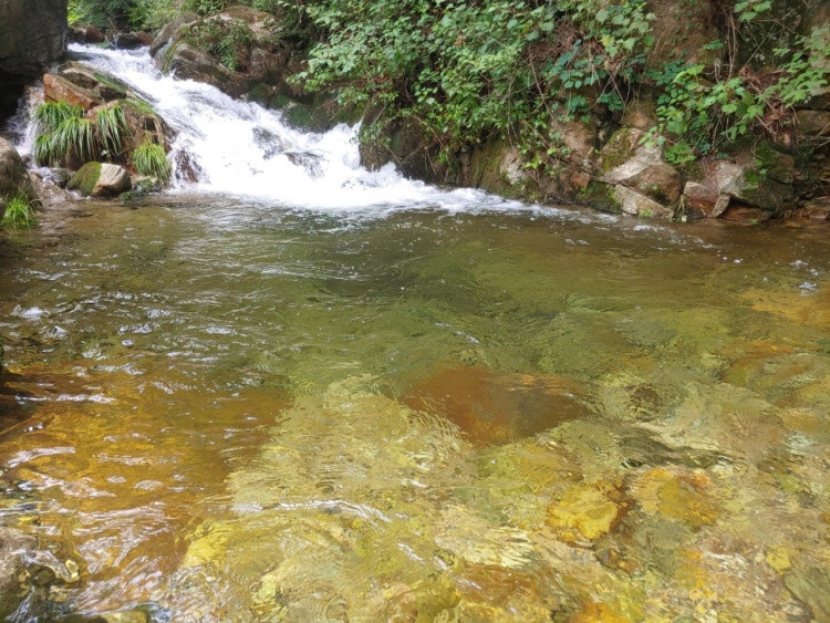 숲속산장펜션