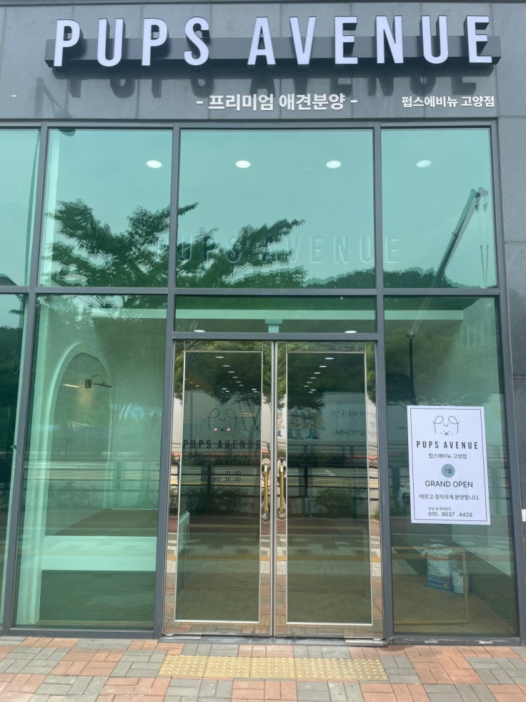 펍스에비뉴