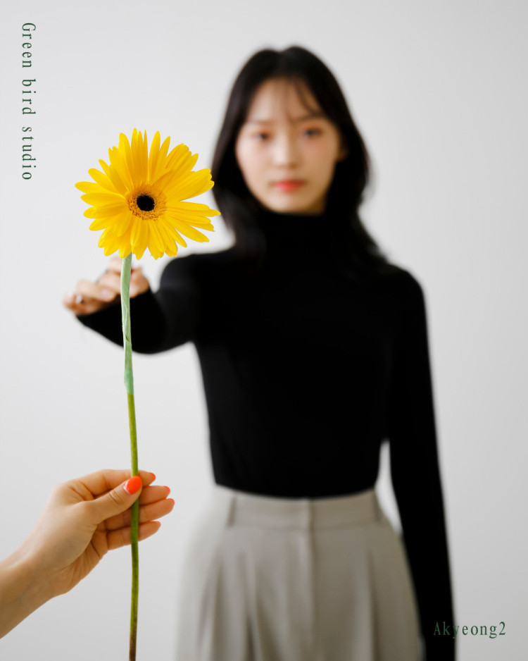 그린버드스튜디오