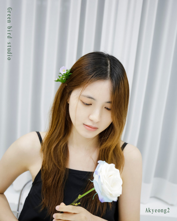 그린버드스튜디오