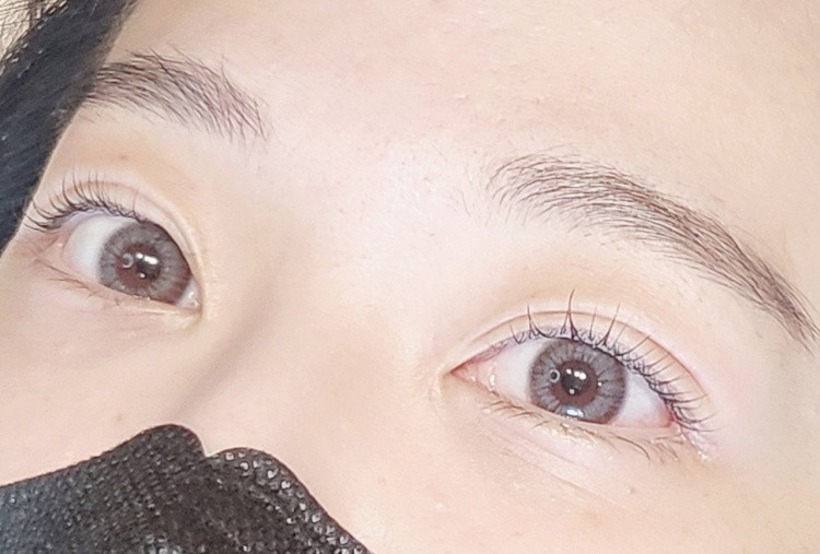 탱글브로우