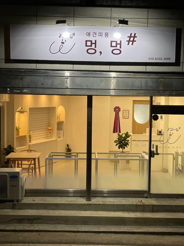 애견미용 멍,멍샵