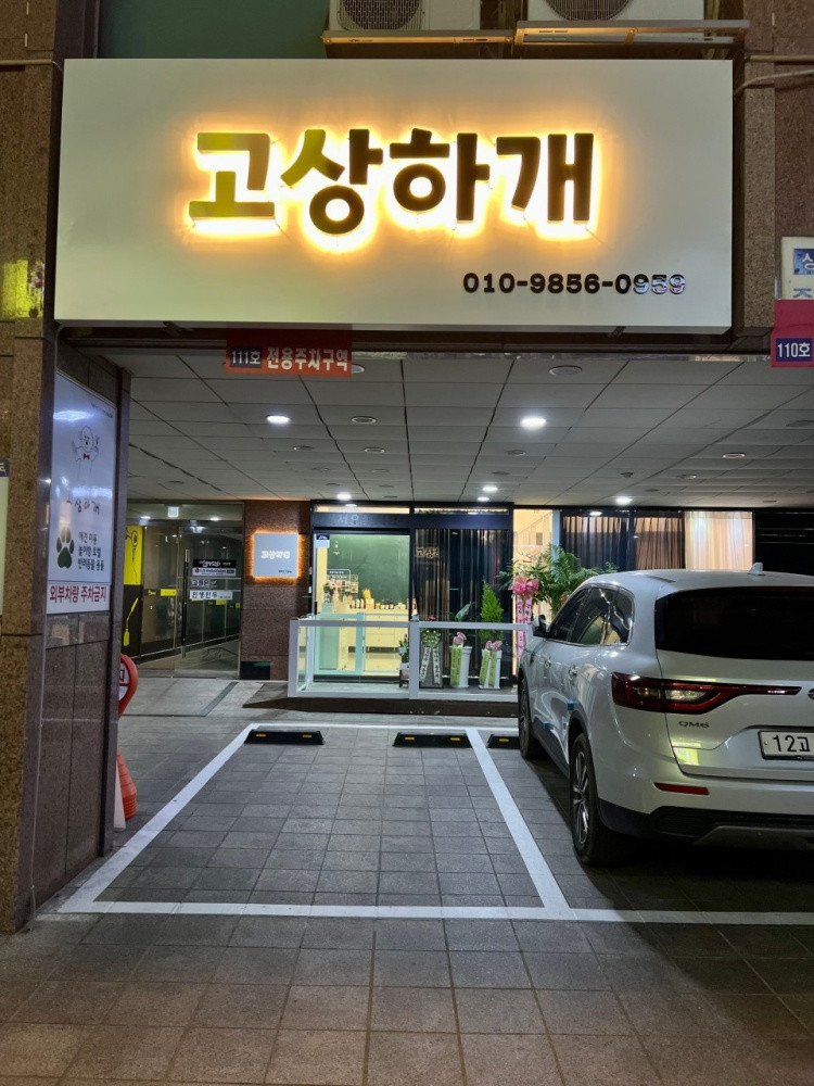 고상하개