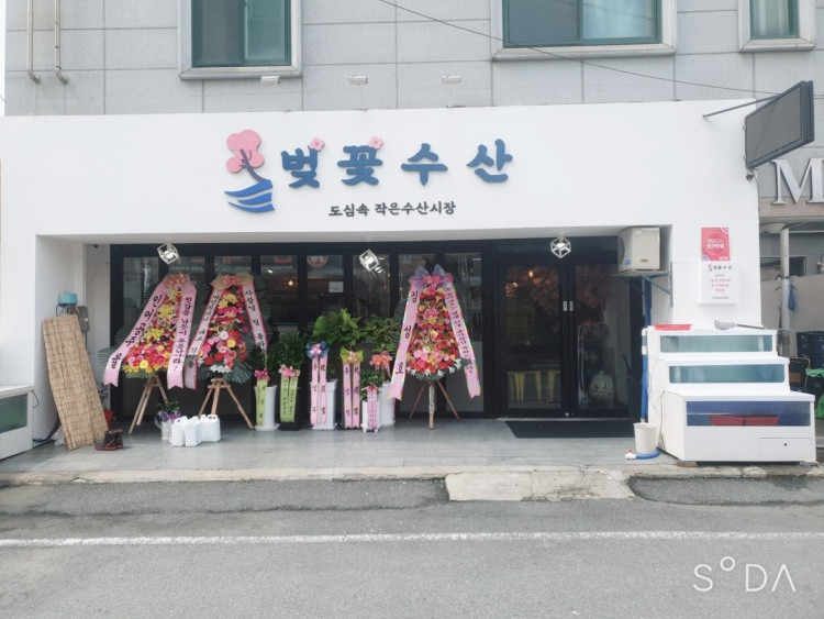 벚꽃수산
