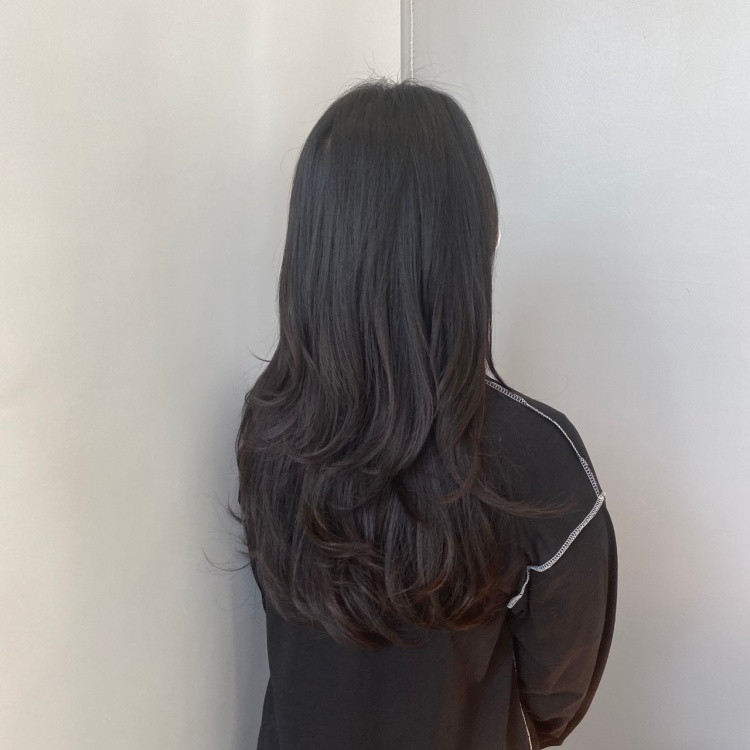 빈센트에이치