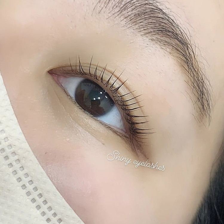 샤이니아이래쉬