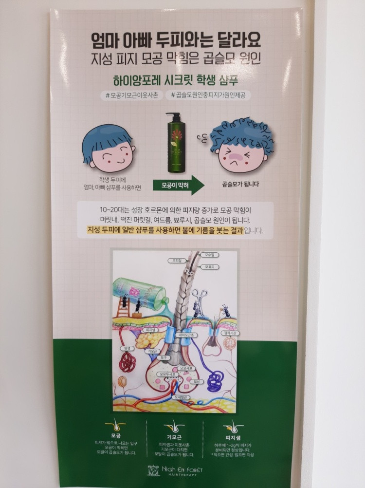 앙포레헤드스파