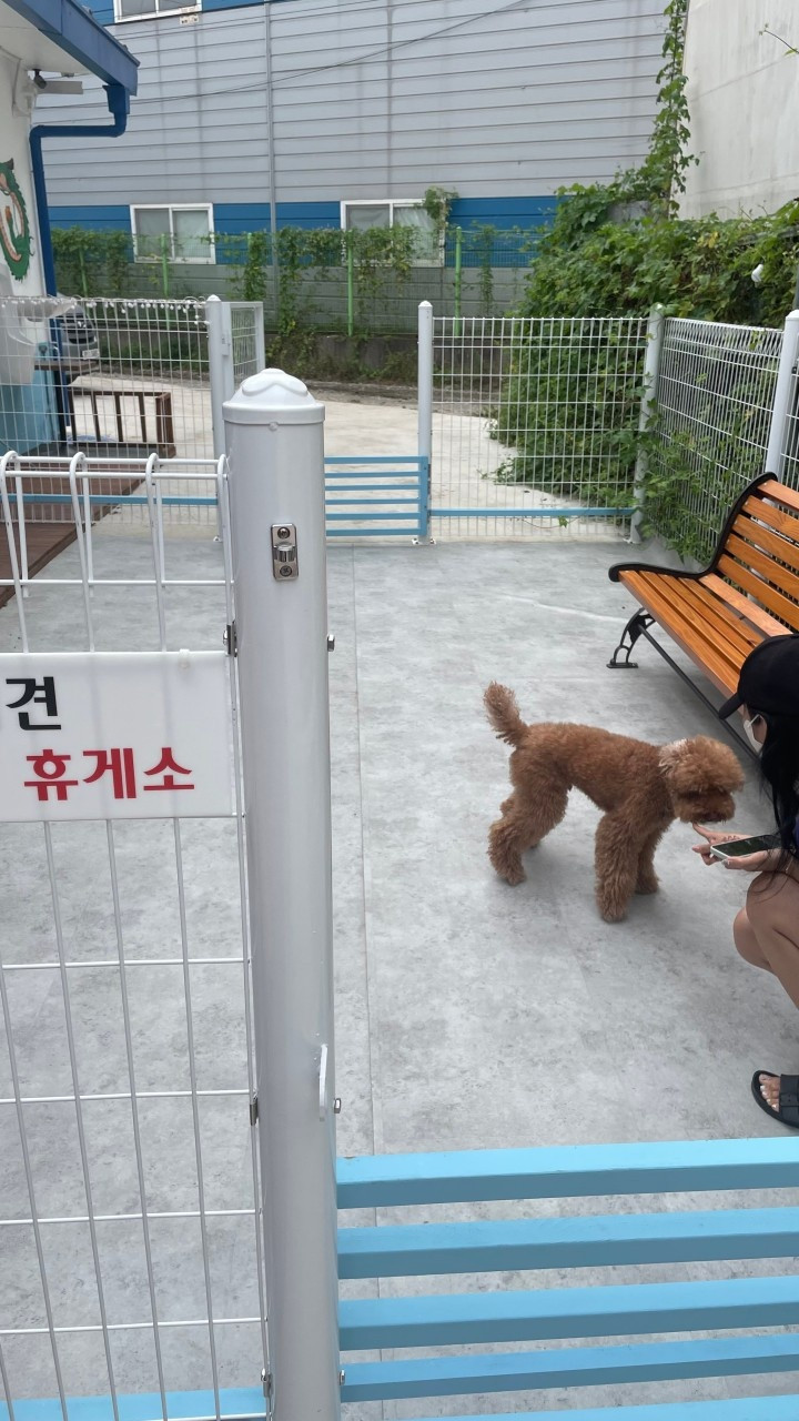 카페미미