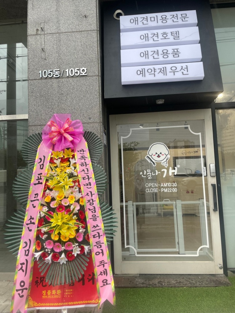 인물나개