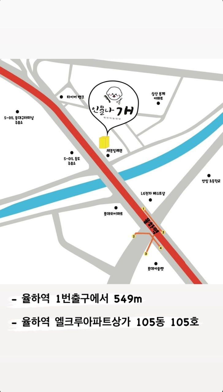 인물나개