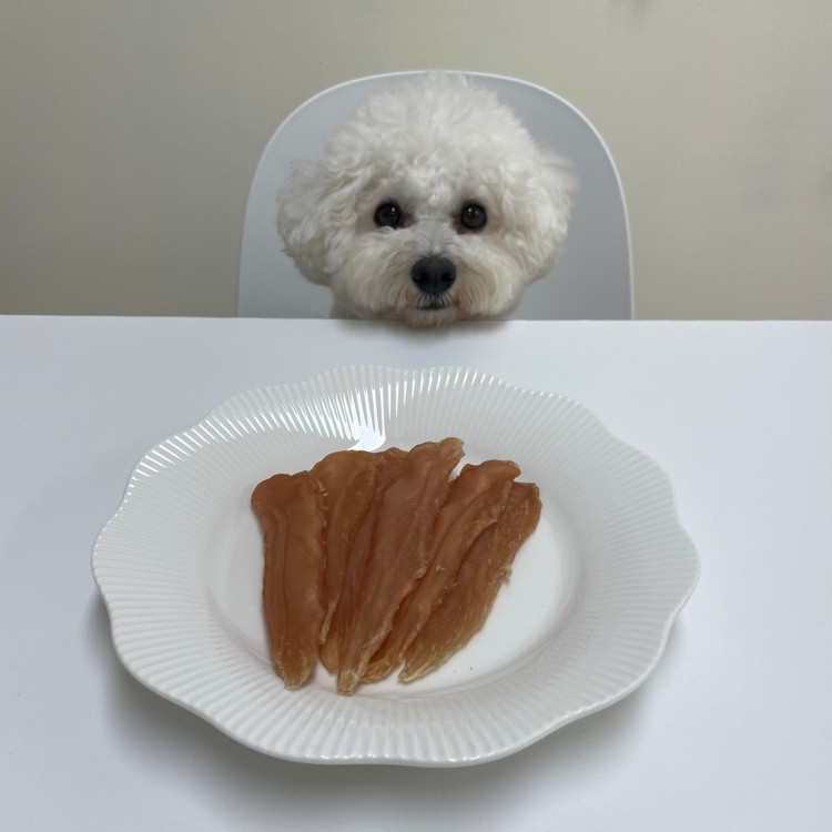 제주찰떡이네