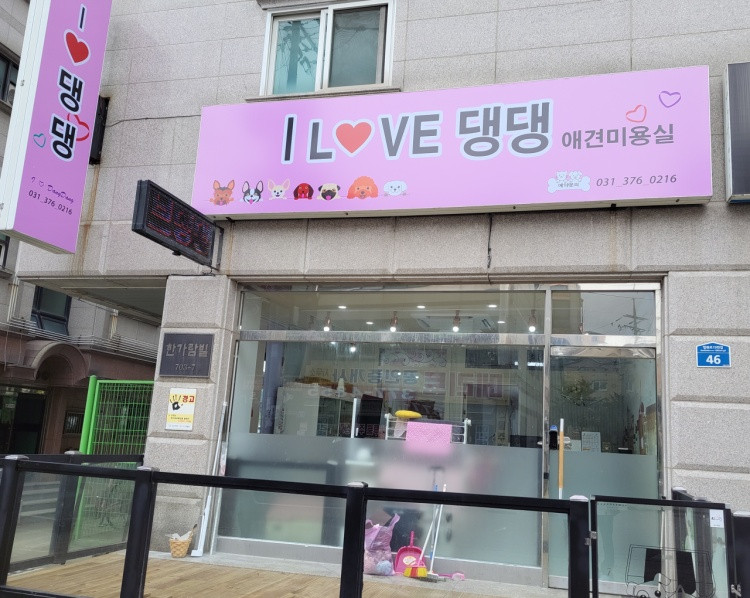 ILove댕댕
