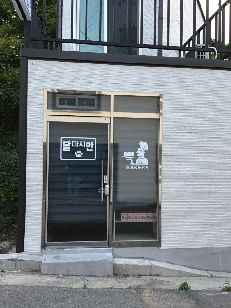 달마시안