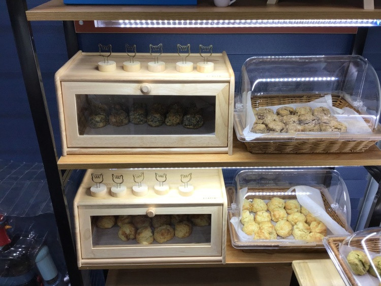 달마시안