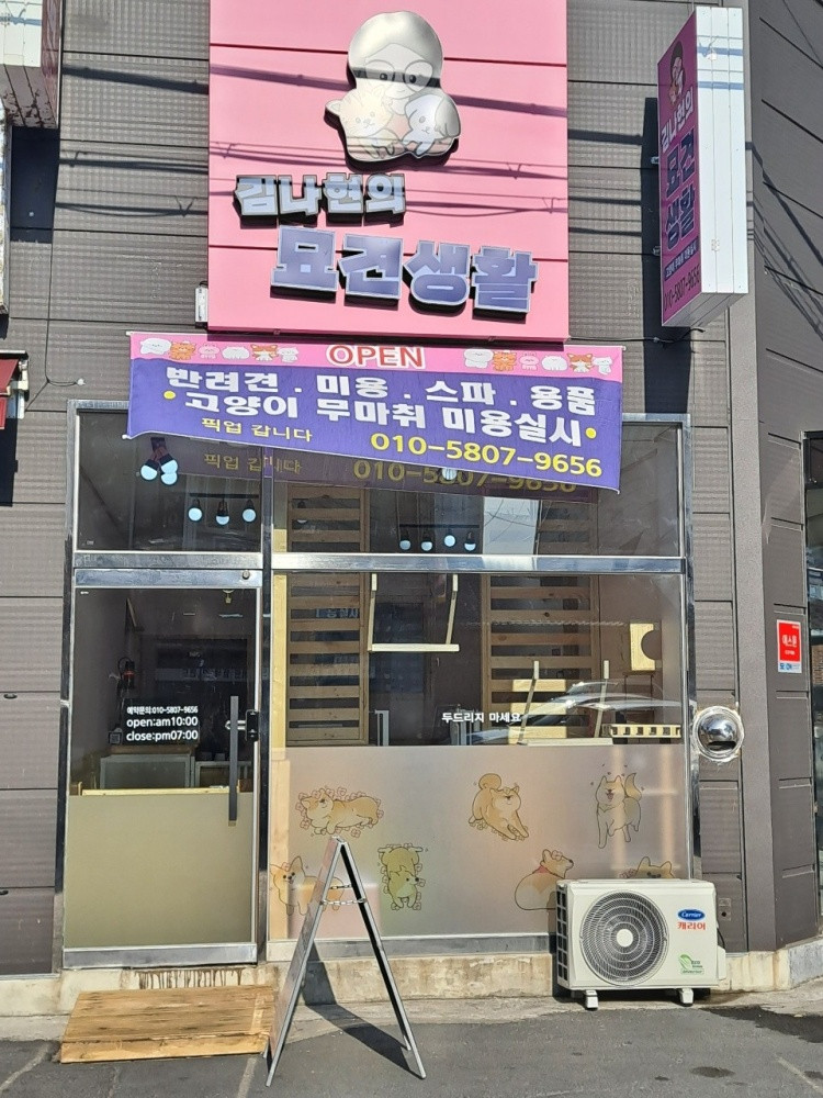 김나현의 묘견생활
