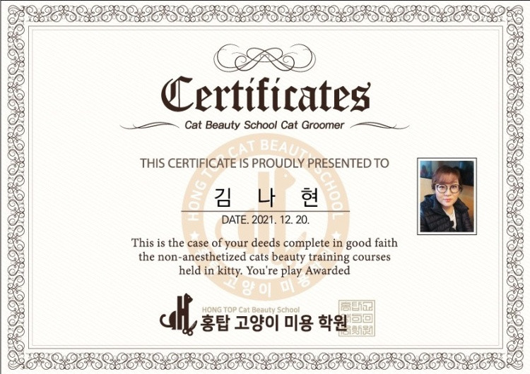 김나현의 묘견생활