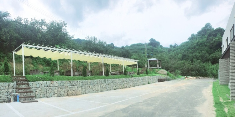 플럼블라썸