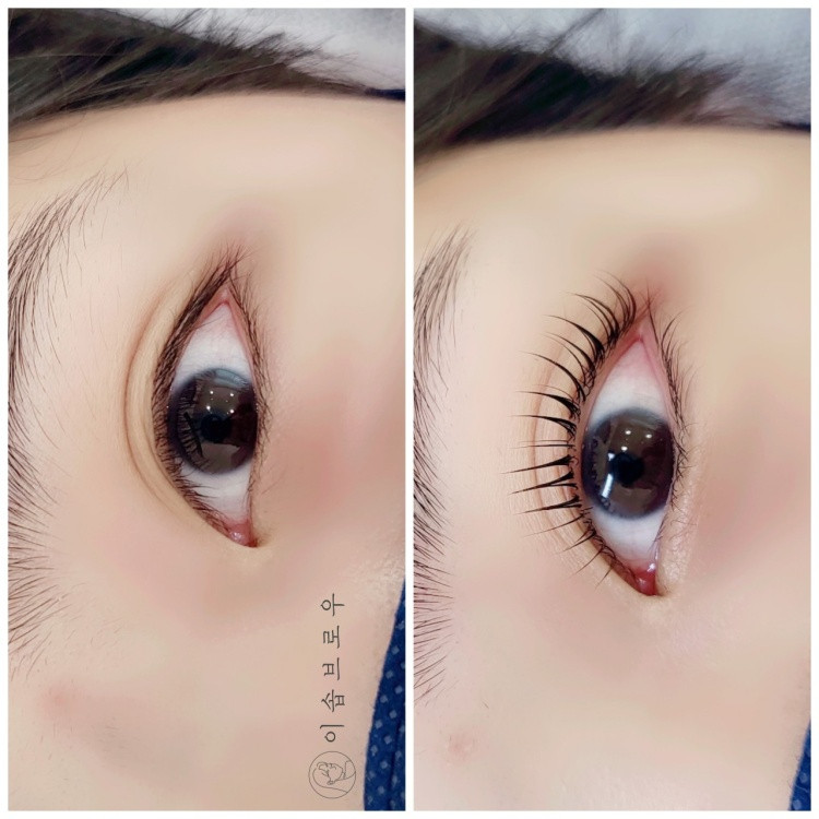 이솝브로우