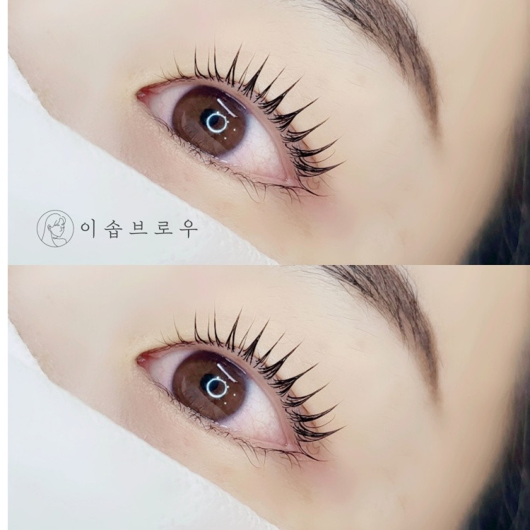 이솝브로우
