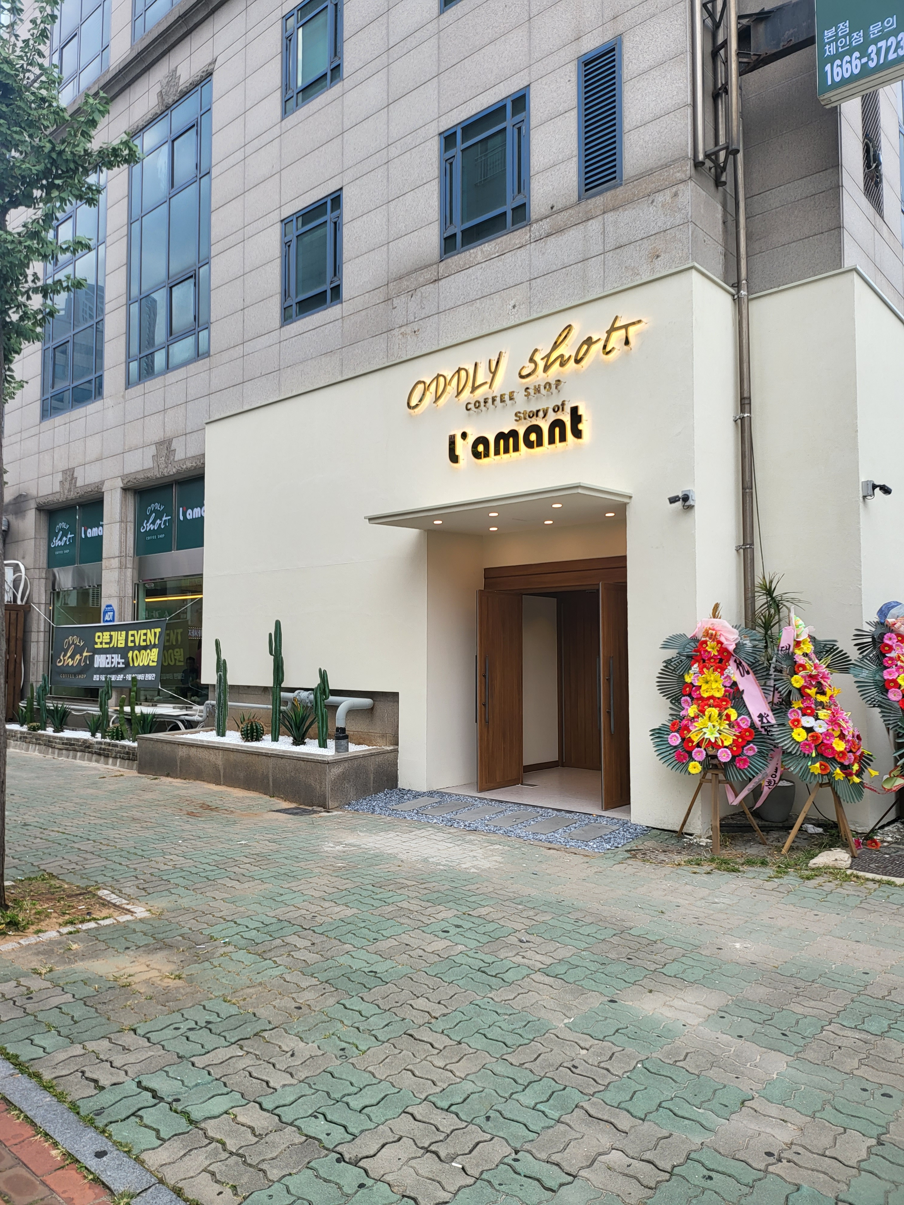 오들리샷 본점