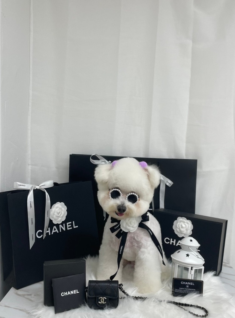 털복숭이친구들