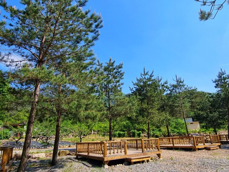 아이캠핑