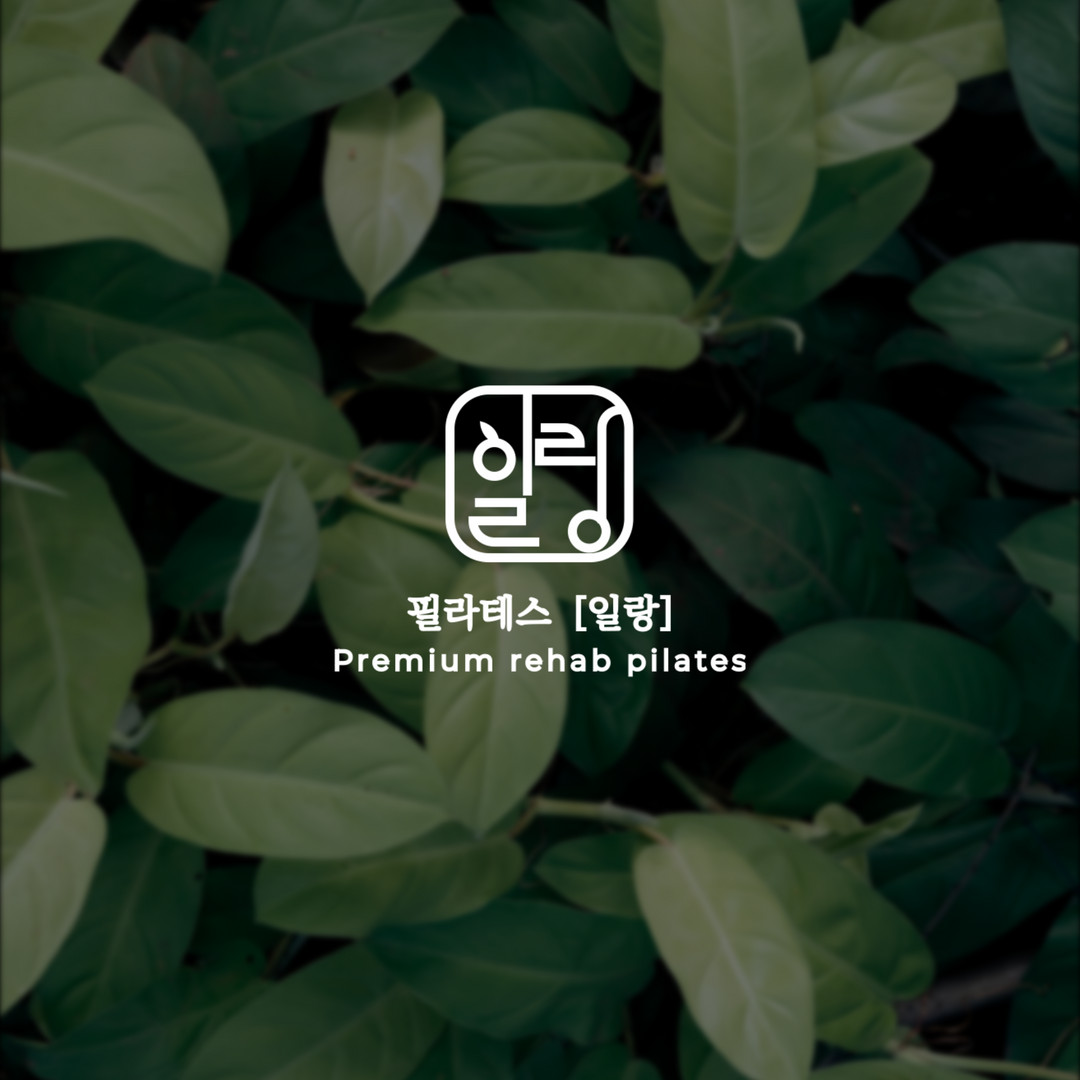 필라테스일랑