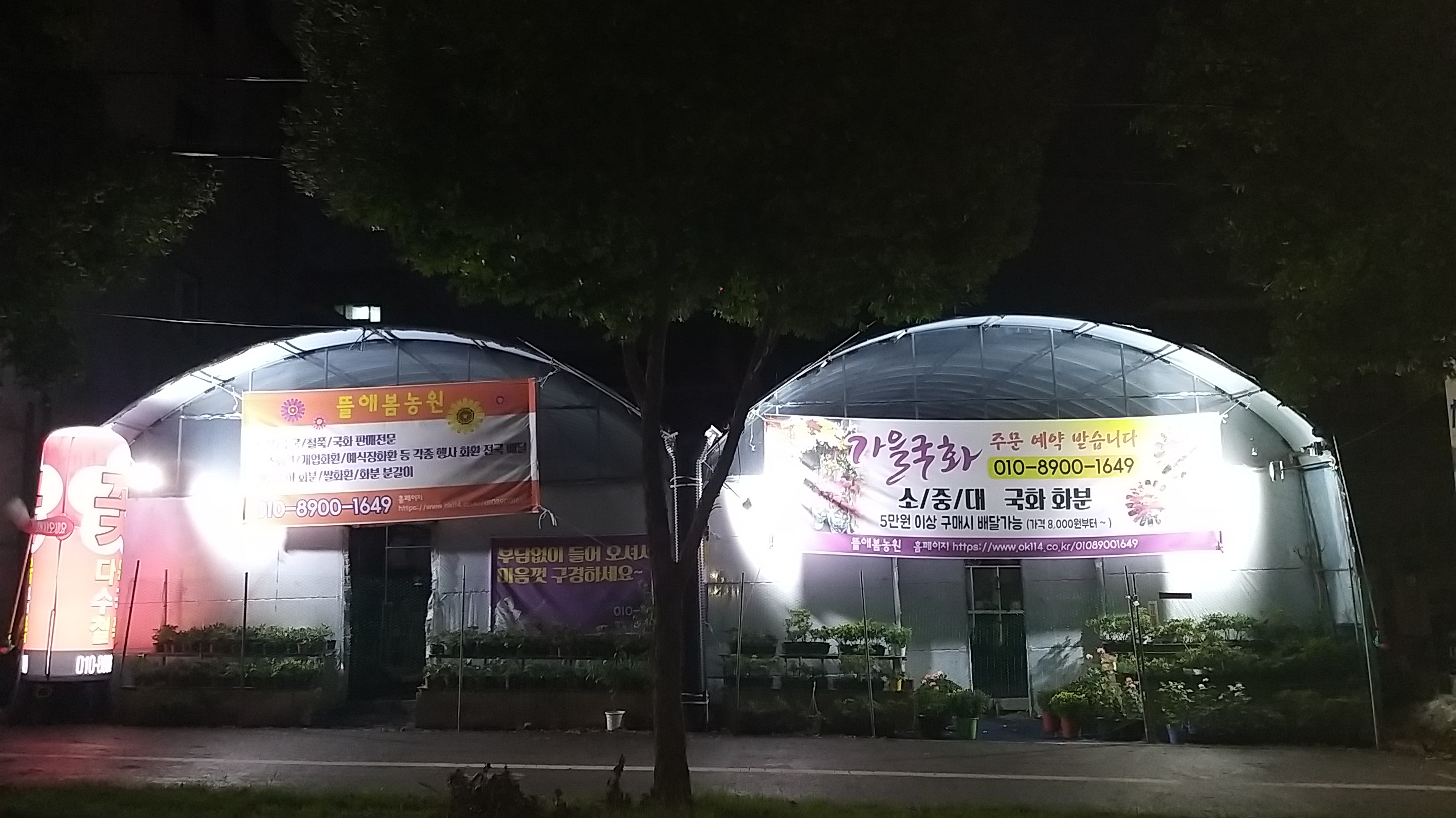 뜰애봄