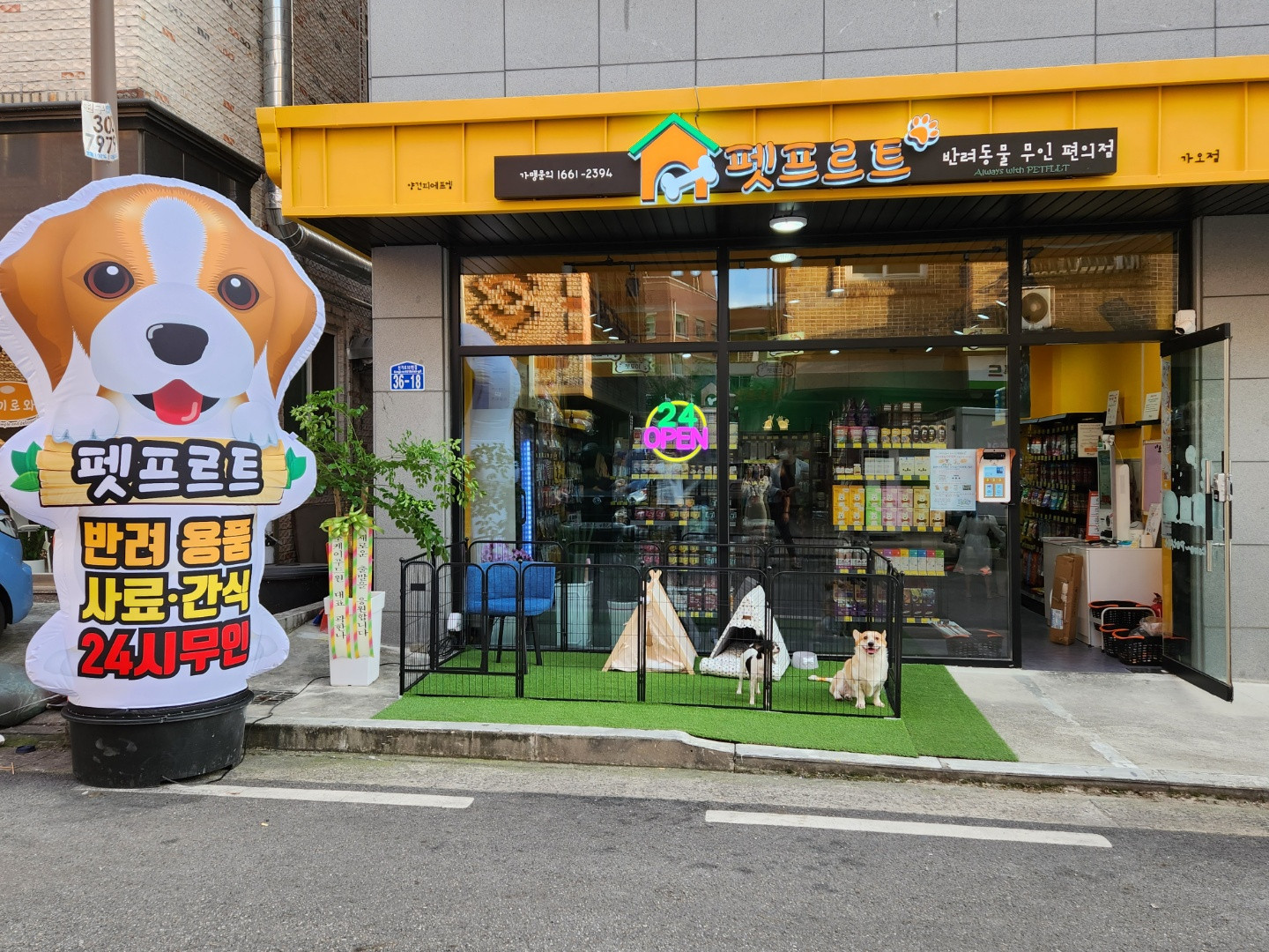 펫프르트 대전가오점