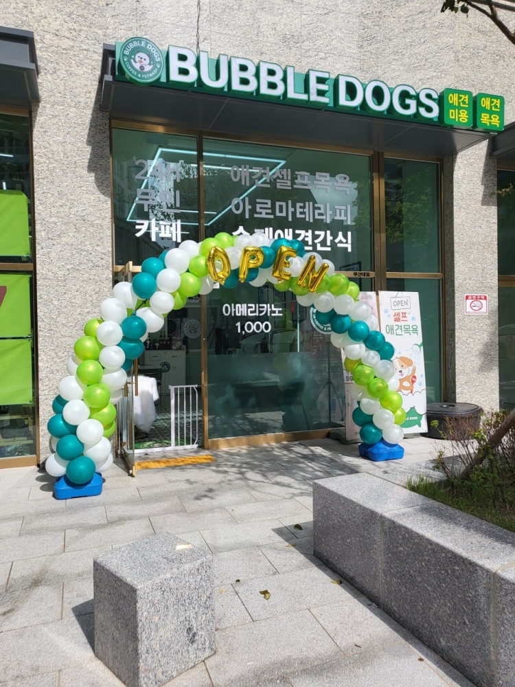버블독스 부산대점
