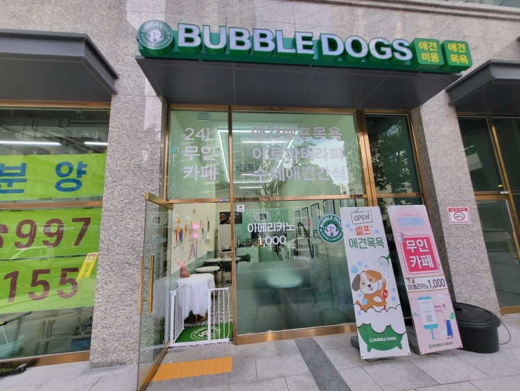 버블독스 부산대점