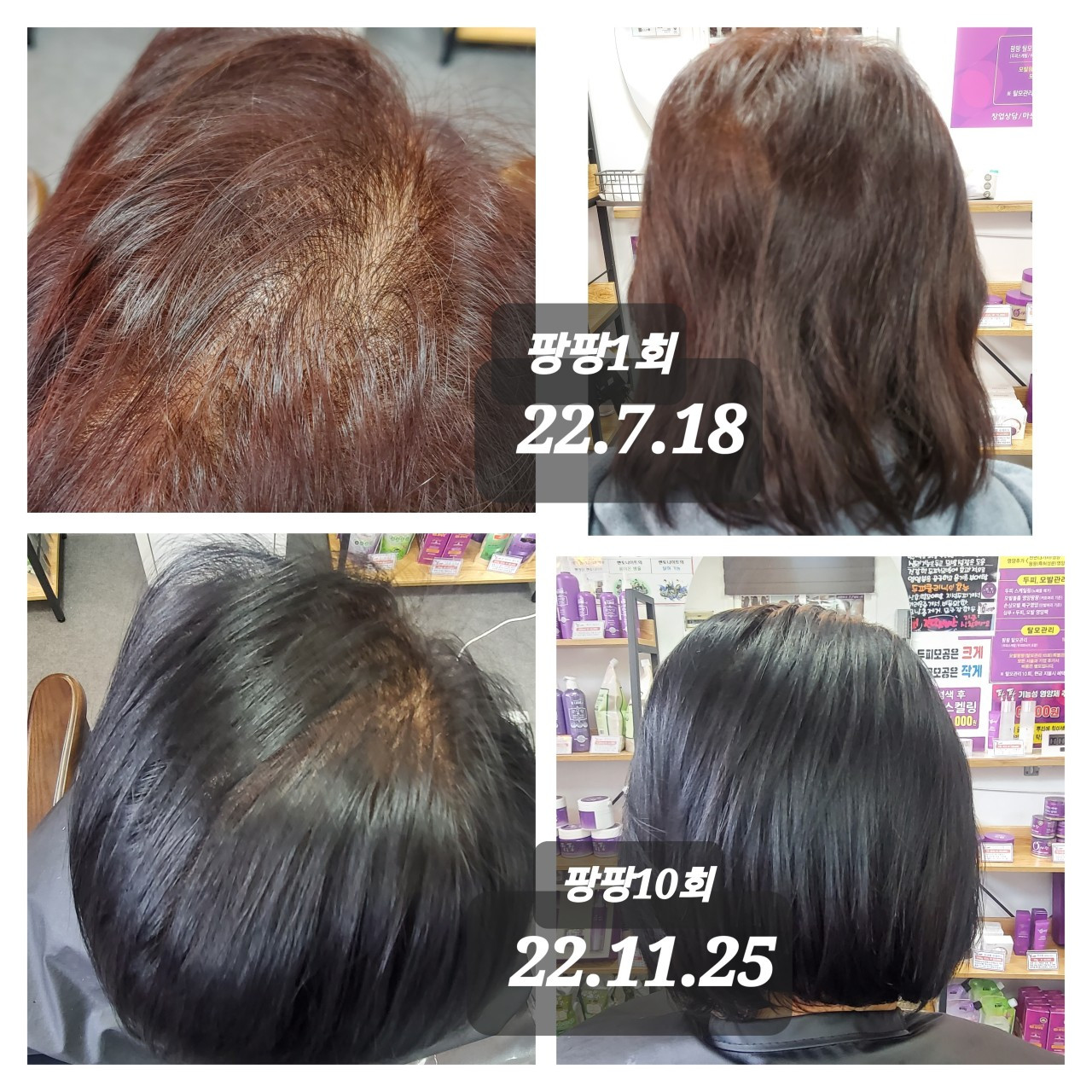 큐사랑 마산지사