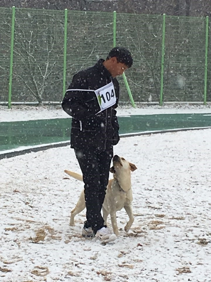 라온스쿨