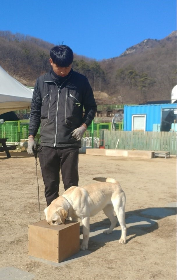 라온스쿨