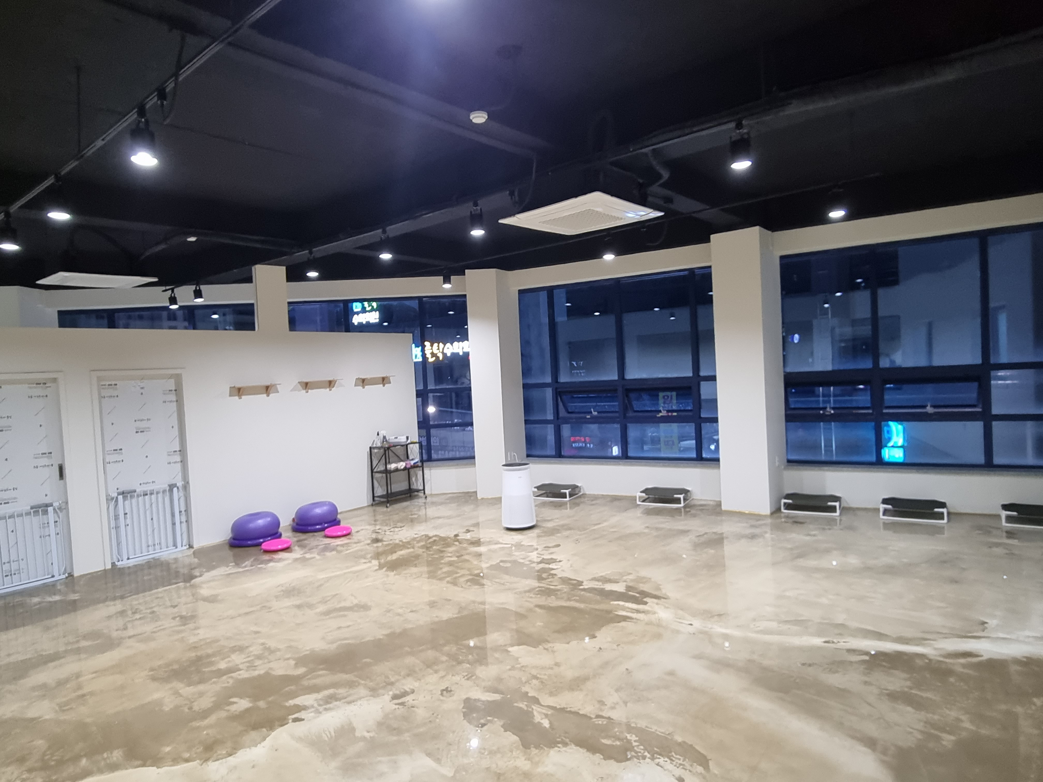 포멀독 반려견센터