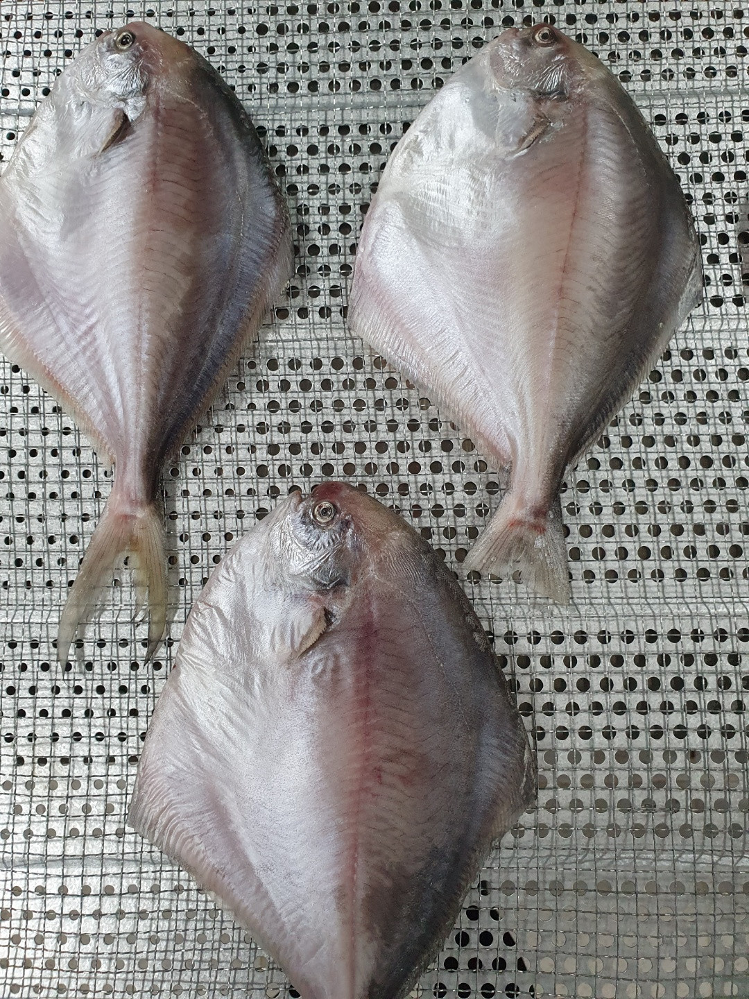 서준수산