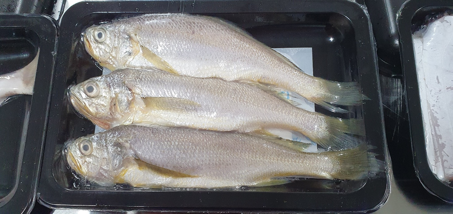 서준수산