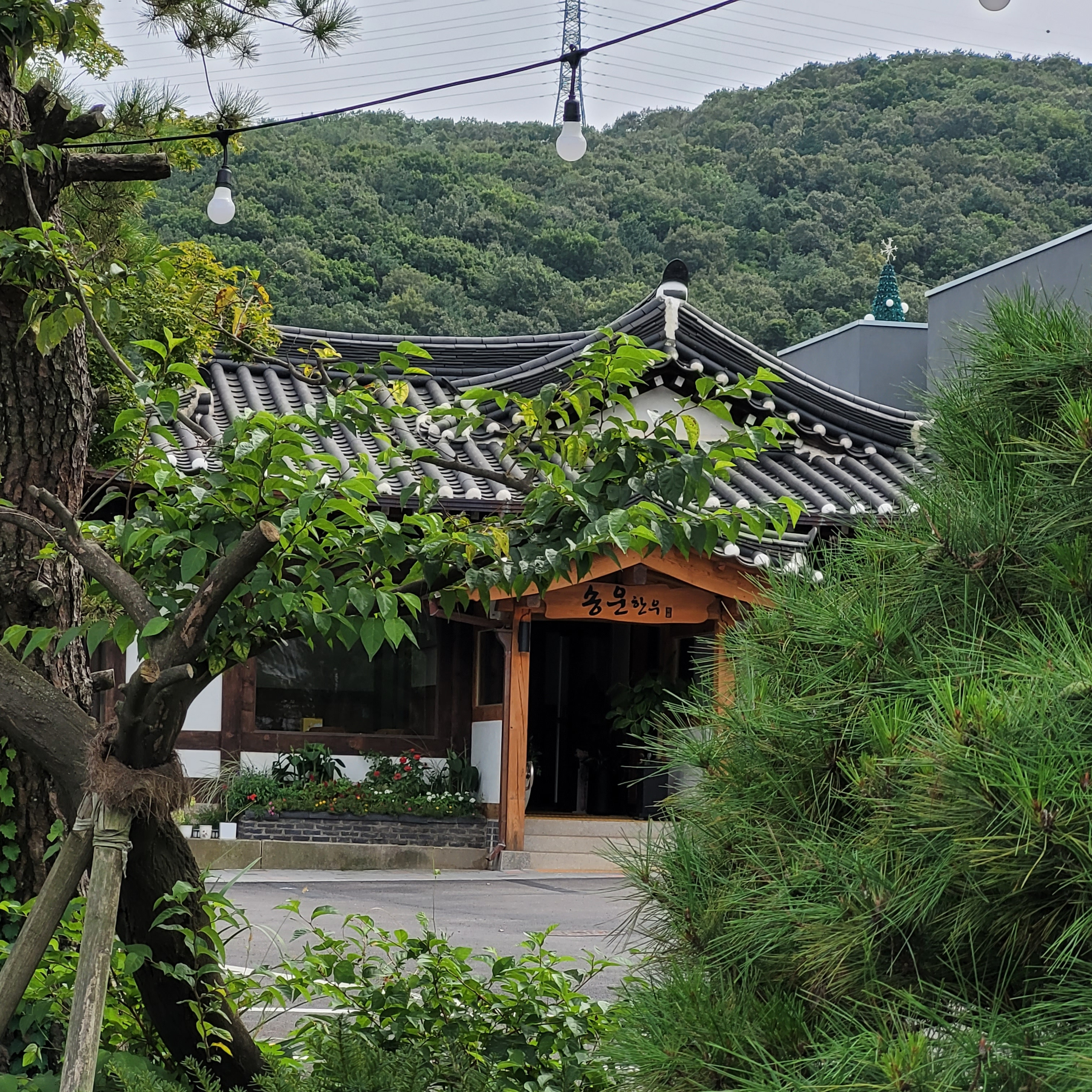 송운한우
