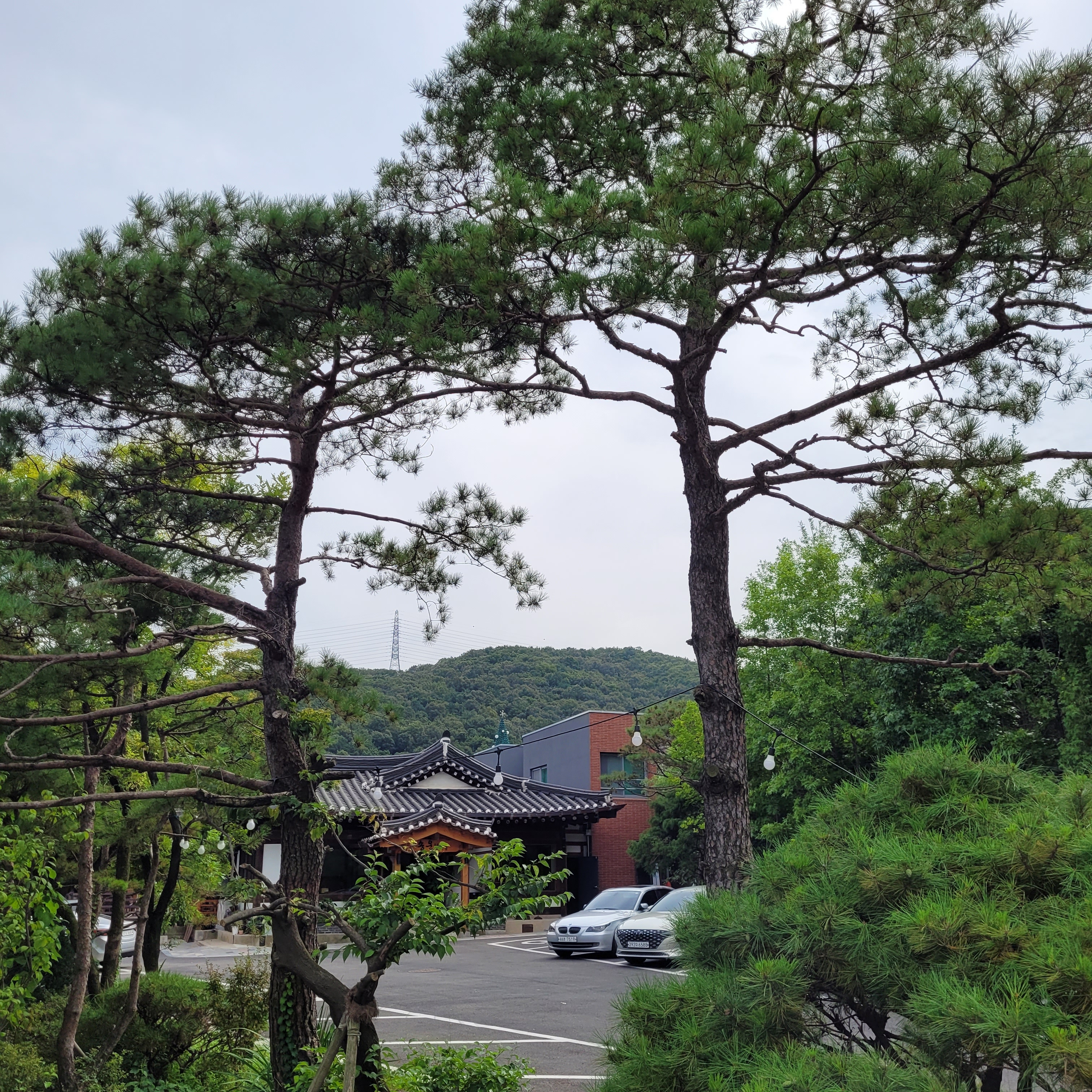 송운한우