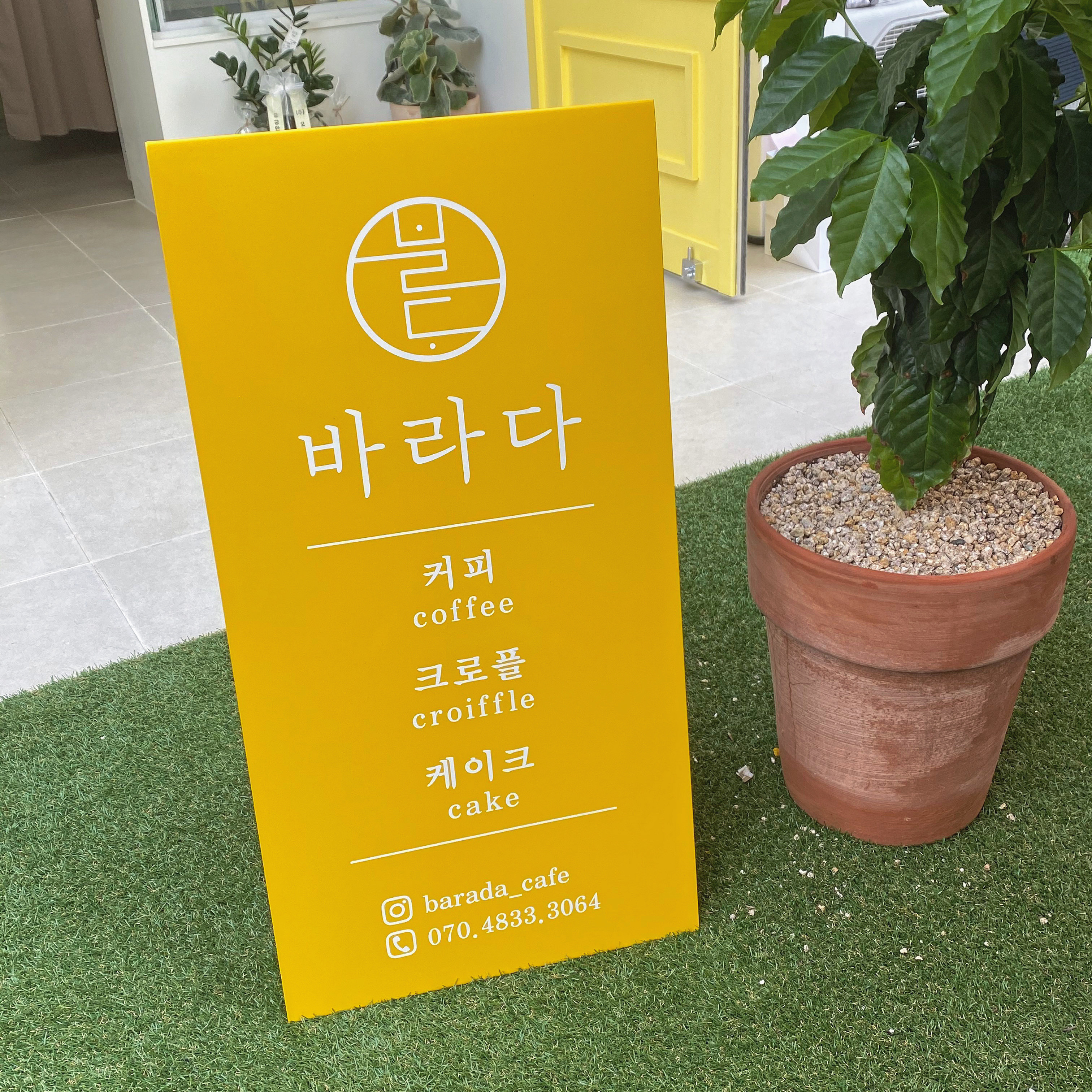 바라다