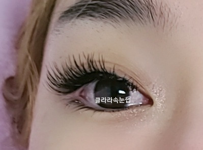 클라라아이래쉬&The아벨캔들