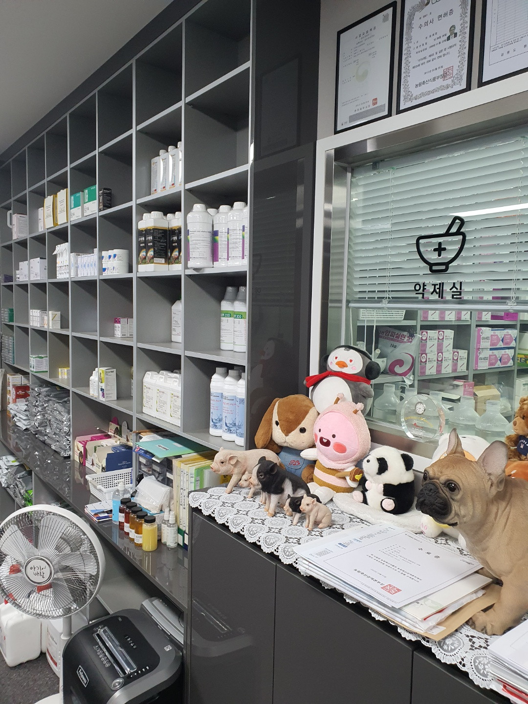닥터윤 산업동물병원