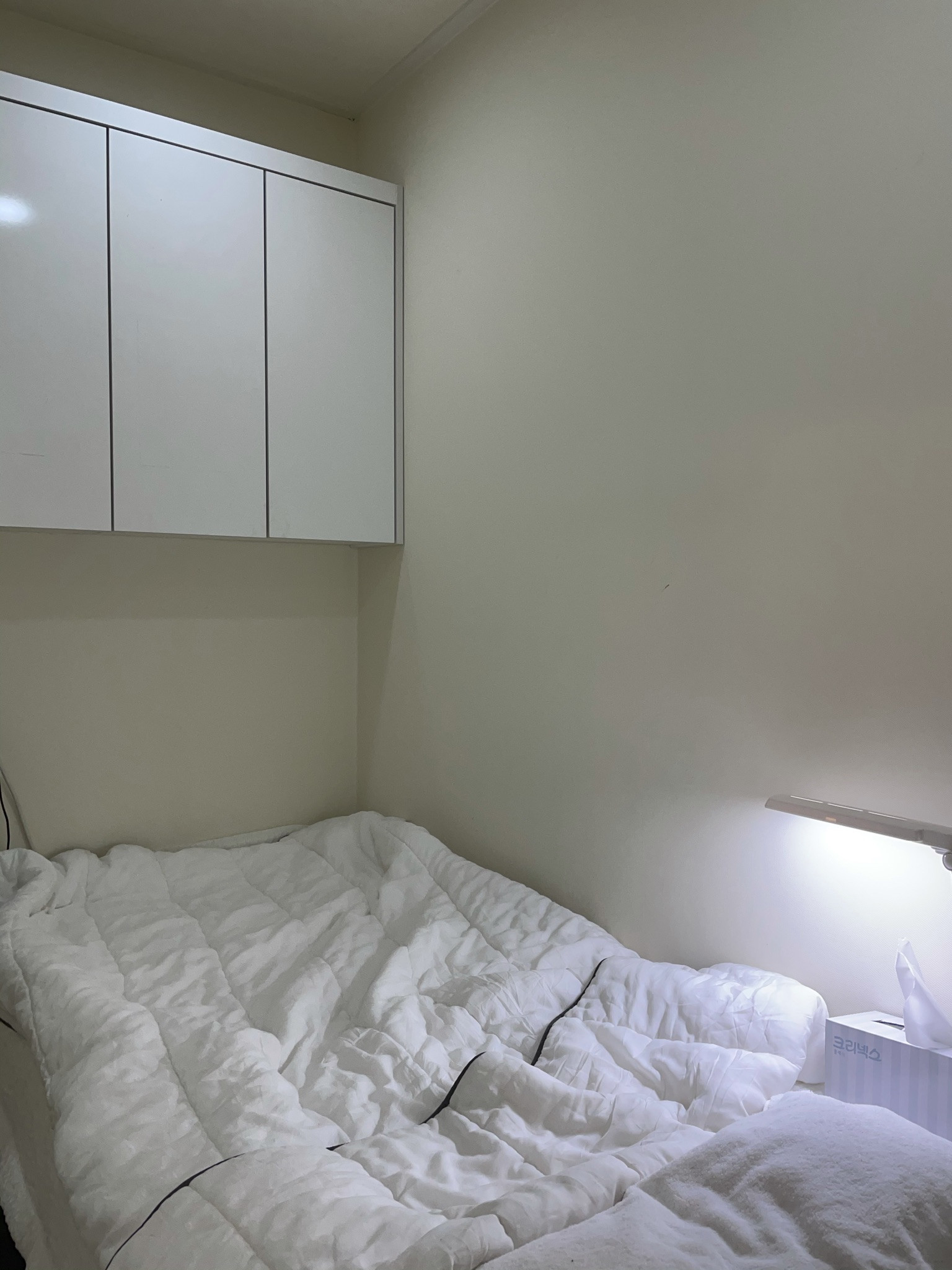 끌로디아