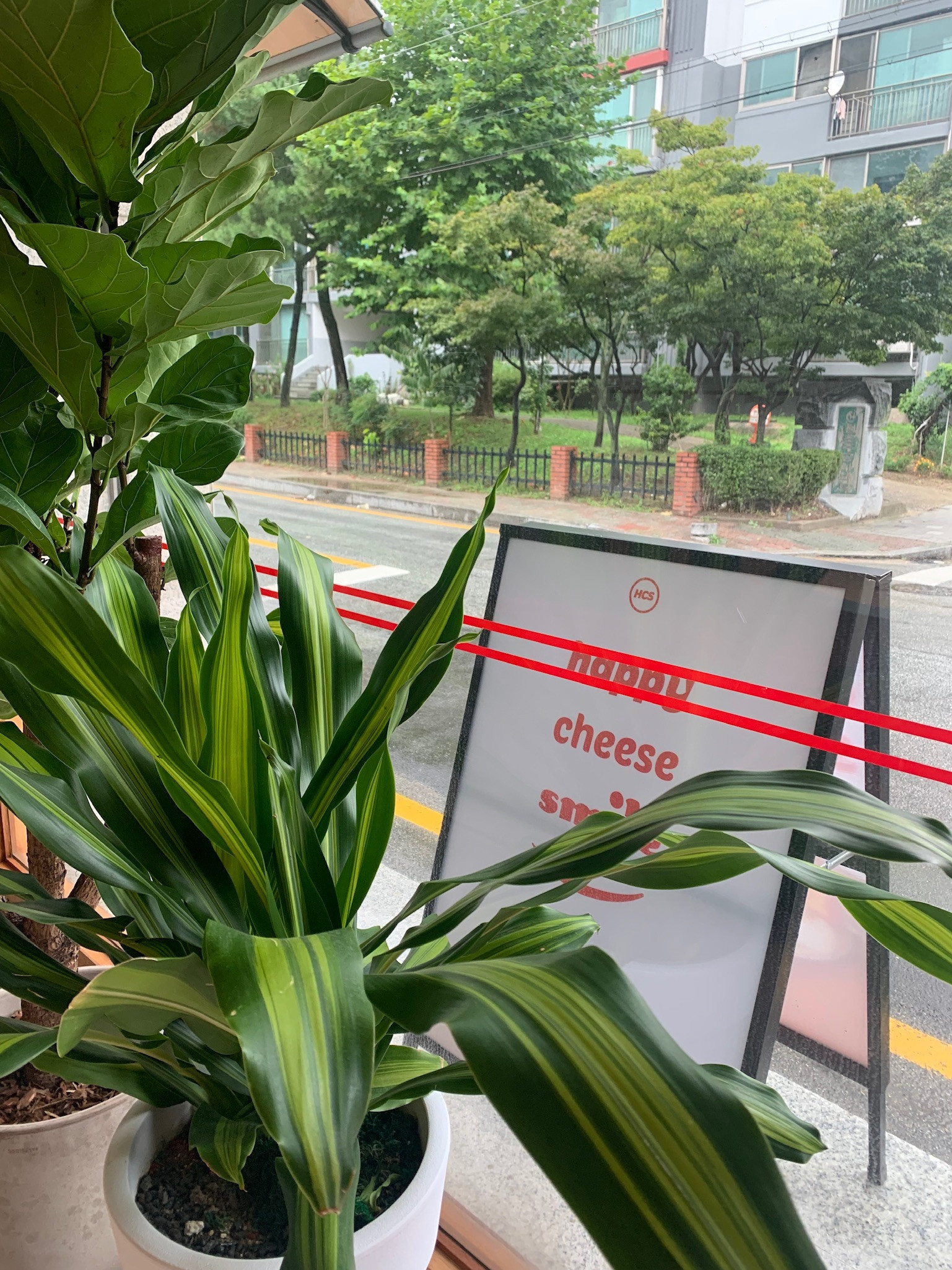 해피치즈스마일속초점
