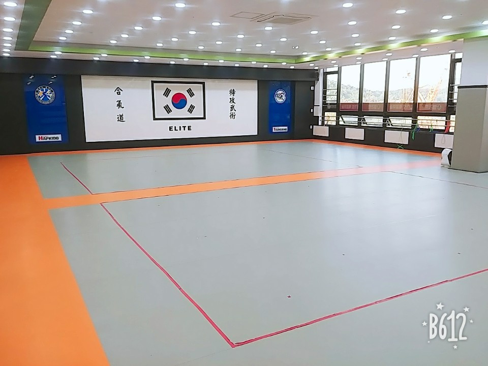 엘리트합기도특공무술