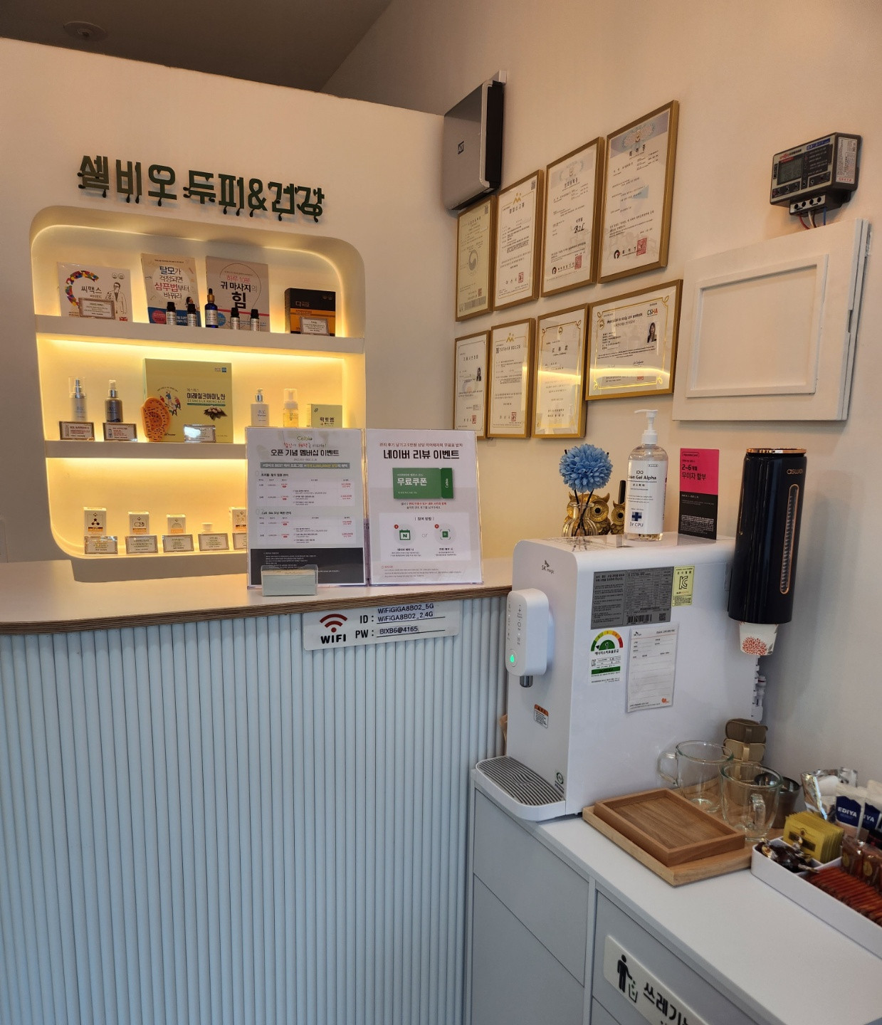 셀비오두피탈모건강