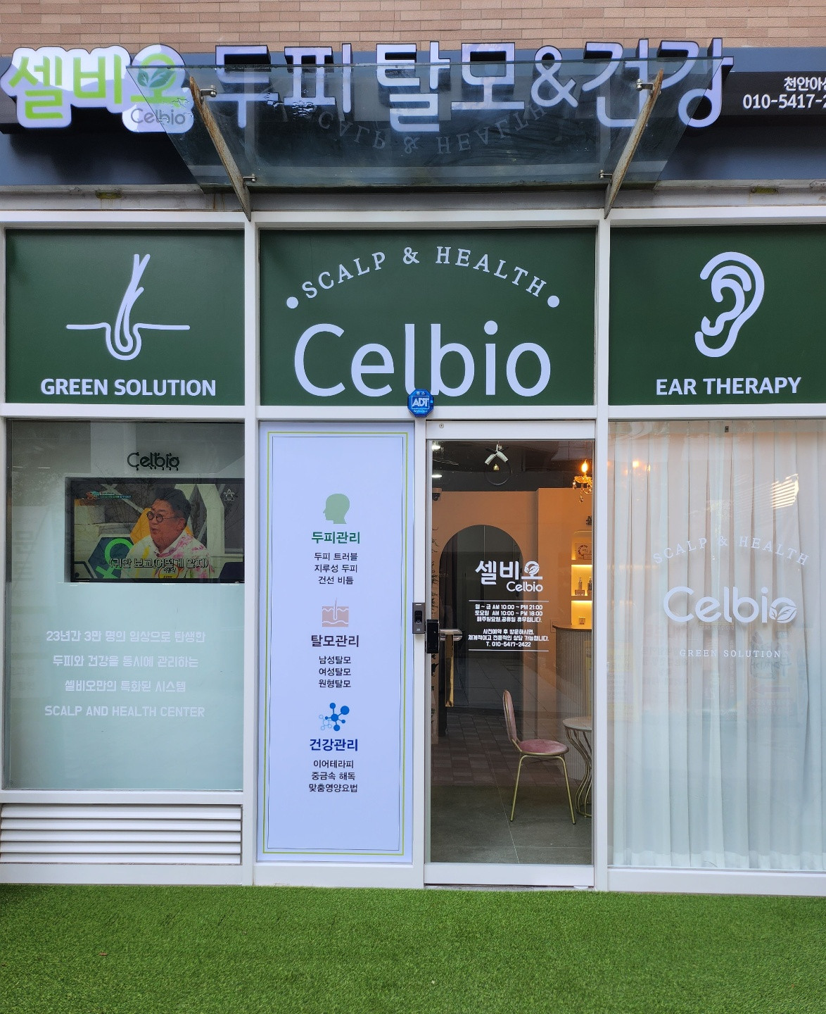 셀비오두피탈모건강